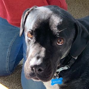 Meet your Posher, Anne